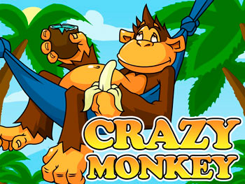 Crazy monkey